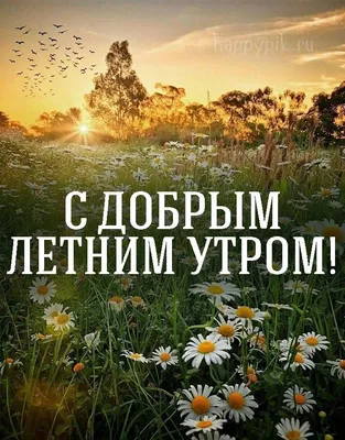 🌞 С добрым утром! 🌹 | Поздравления, пожелания, открытки! | ВКонтакте