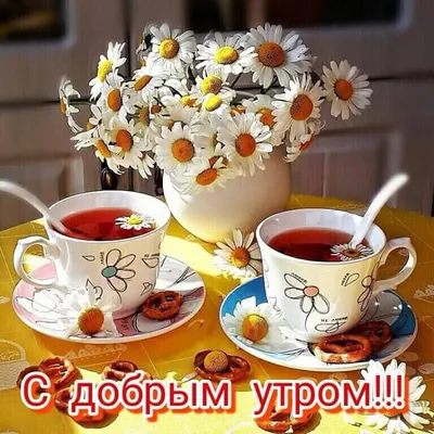 С Добрым Летним Утром! 20 июня. #утренниепожелания #доброеутречко #утр... |  TikTok