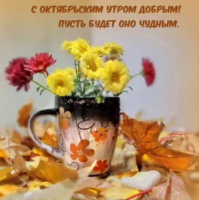 С добрым октябрьским утром!☕🍁☕🍁☕🍁☕💜💙💜💙💜💙💜 | TikTok