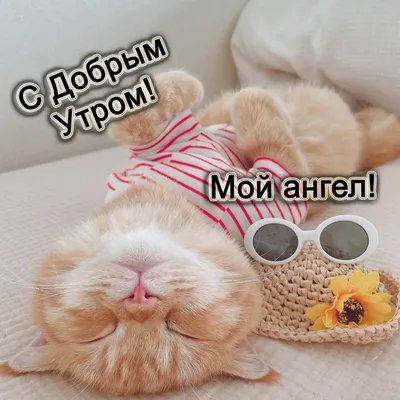 С ДОБРЫМ УТРОМ , ЛЮБИМАЯ ГРУППА. ☀☀☀☀☀☀☀☀☀☀☀☀☀☀ Хочу пожелать всем доброго  утра! Пусть.. | ВКонтакте