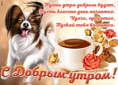 МИР Настроения - С Добрым Утром, Друзья ! Любви 💖 Всем 💖... | Facebook