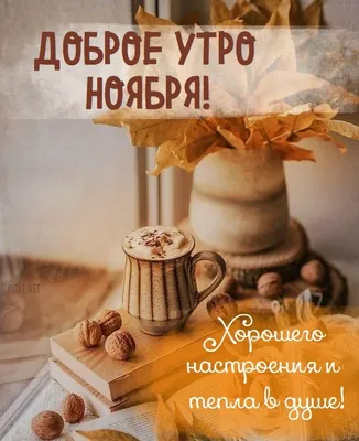 С Добрым Утром! 7 НОЯБРЯ. #пожеланиясдобрымутром #доброеутро #доброеут... |  TikTok