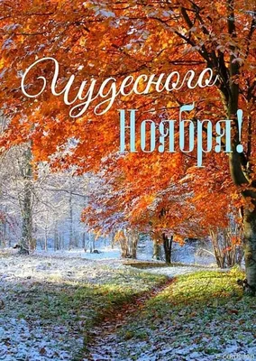 С Добрым Ноябрьским Утром! 1 НОЯБРЯ. #сдобрымутром #доброеутро #осенне... |  TikTok