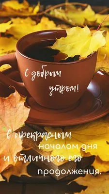 доброе утро#первое утро октября# | TikTok