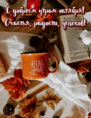 💫 С добрым утром, дорогие мои!💞 На дворе 1️⃣ октября.🍂🍁 Наступил второй  месяц осени.🍂🍁 Подходит к концу рабочая неделя!💼 Не думайте… | Instagram