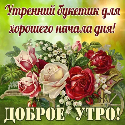 С Добрым Пятничным Утром! 20 ОКТЯБРЯ. #сдобрымутром #доброеутро #добро... |  TikTok