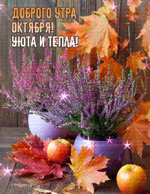 Открытки \"Доброе утро октябрь\" (1397 шт.)