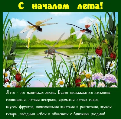 Поздравляю всех с началом лета!» — создано в Шедевруме