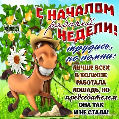 Рекламная страница - Дорогие друзья с началом новой недели! | Facebook