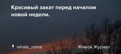 Доброе утро! С началом новой недели, понедельник- день прекрасный!!! |  Доброе утро, Пути