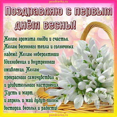 С НАЧАЛОМ 🍃🌺💜🌺🌿 ВЕСНЫ!