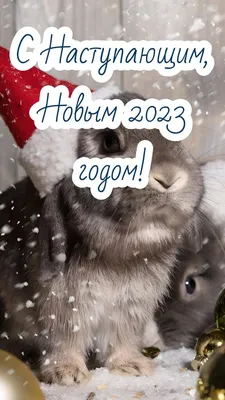 Поздравляем с наступающим Новым Годом 2020!