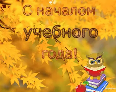 С новым учебным годом! - Ошколе.РУ