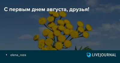 С первым днём августа🌺 | TikTok