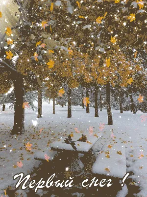 Мебель Азии - Дорогие друзья, с первым снегом вас!🌨❄☃️ . В Алматы холодно,  снежно, но очень свежо!🌬 . А вы любите снег и зиму?)☃️ . Знали ли вы, что  в древности люди