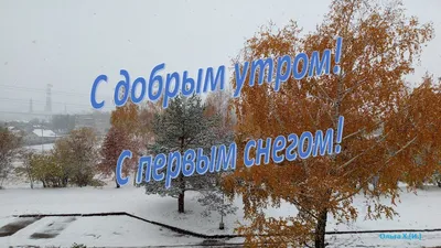 Открытка, Все желания сбудутся...(девочка и новогодний снег), 10*15 см, 1  шт. - Sharprime