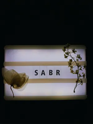 SABR Sticker – KHAIR.