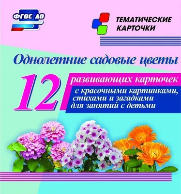 Купить многолетние садовые цветы | Florium.ua - цены ниже