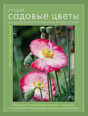 Садовые цветы Виды Уход Размножение Мини-атлас | Не указано - купить с  доставкой по выгодным ценам в интернет-магазине OZON (770947853)