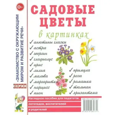 Дидактическая игра «Садовые цветы» - Скачать шаблон | Раннее развитие