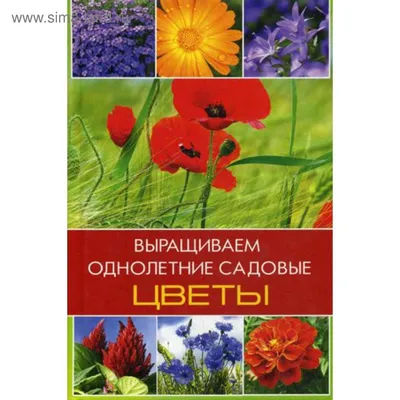 Садовые цветы в июле, фото с моего участка (подборка из 20 с отзывами и  эмоциями) | уДачный выбор | Дзен