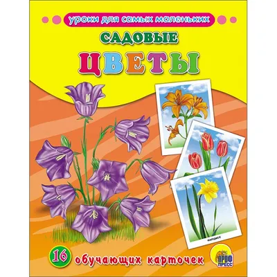 Из сада на подоконник: какие садовые цветы можно забрать на зиму домой |  САД В ЮЖНОЙ СТЕПИ. Хутор Бородкин | Дзен