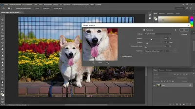 5 простых шагов: как улучшить фотографию в Photoshop / Skillbox Media