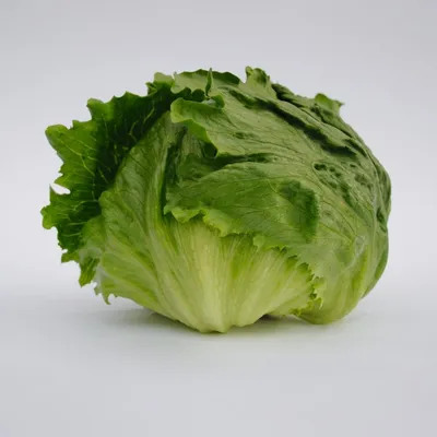 Как вырастить салат на подоконнике: 'Айсберг' и другие сорта салата. Сорта  салата для выращивания на балконе