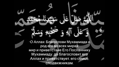 КОРАН СУННА - 🔹В хадисе Пророка ﷺ сказано: «Лучшим из... | Facebook