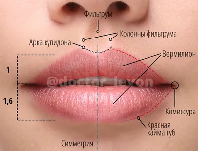 Реставрация зуба цена Москва - эстетическая реставрация зубов у метро  Проспект Мира