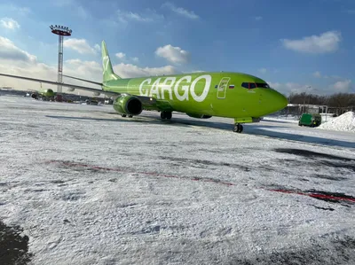 Лучшие места и схема салона Airbus A321 S7 Airlines 2024