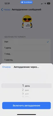 В Telegram появилась функция самоуничтожающихся фото и видео - Афиша Daily