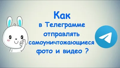 Как же сохранить самоуничтожающееся фото и видео в Telegram за 5 минут ?  Давайте расскажу. | Foolic | Дзен