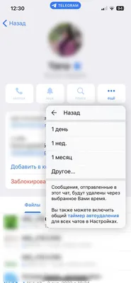 Как сохранить размытое исчезающее фото Telegram само удалиться таймер и  исчезает Телеграм iPhone - YouTube