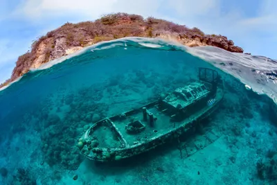 Самые красивые женщины в мире с точки зрения золотого сечения: фото