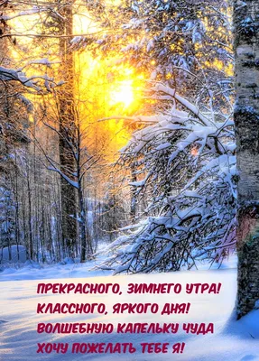 В Красноярске выберут самые красивые зимние витрины, дворы и офисы |  21.11.2023 | Красноярск - БезФормата