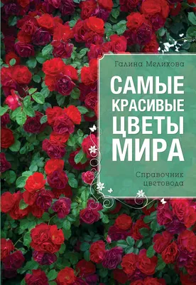 Как сделать пышный букет: выбираем самые красивые цветы | Семицветик | Дзен