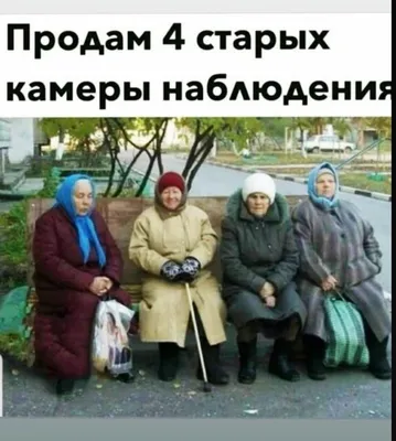 Животные: смешные фото котов и собак. Смешные фотографии животных