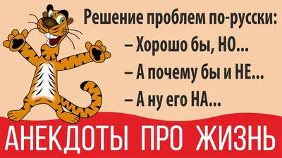 Самые смешные фото дикой природы от The Comedy Wildlife Photography Awards  - TOPNews.RU