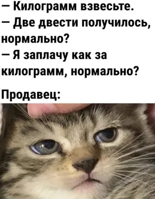 Самые смешные картинки