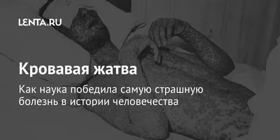 Бактерии: примеры, виды, топ-10 самых опасных для человека бактерий в мире