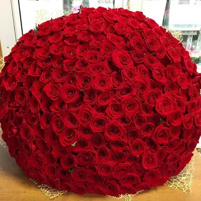 Огромный букет роз - купить большой букет роз в Москве