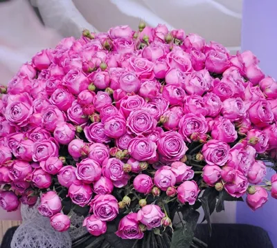 Букет 101 роза красный» - купить в Обнинске с доставкой | Интернет-магазин  «Центр Цветов»