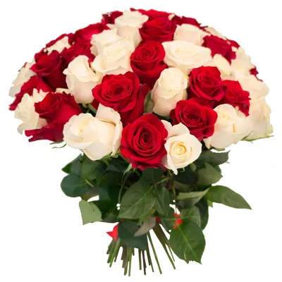К чему дарят красные розы? Символ подарка красных роз родным и близким |  Блог Семицветик