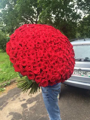 Букет из 201 красной розы Ты - мой мир!, Москва | Розы, Доставка цветов,  Букет
