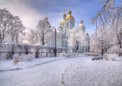 Санкт-Петербург. Часть 100. Санкт-Петербург в 1850-х