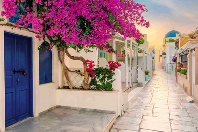 Санторини — стоковые фотографии и другие картинки Греция - Греция, Афины -  Греция, Республика Кипр - iStock