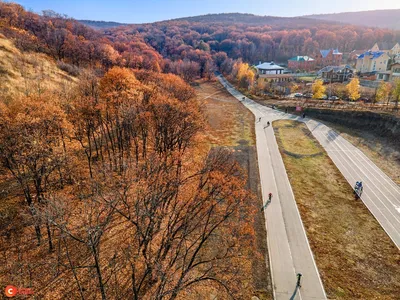 Файл:Саратов, Московская улица, дом 164.jpg — Википедия