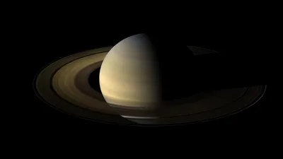 Saturn's rings are far younger than the planet they circle, study finds