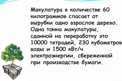 4 класс: Сбор макулатуры в школе. Завтра утром последний день.